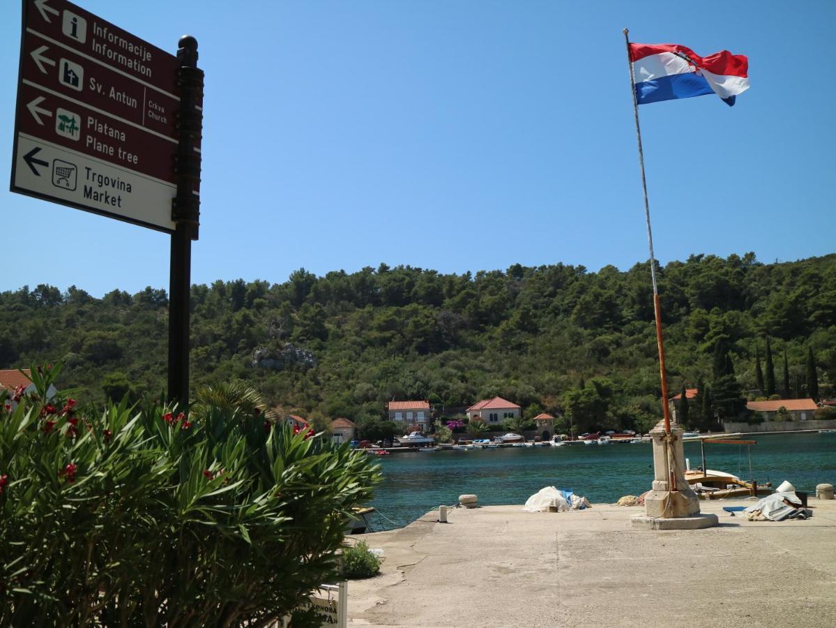 Studio Apartments & Rooms Lela, Sipan Island Šipanska Luka المظهر الخارجي الصورة